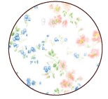 Poppy Daisy /Voile Nightie